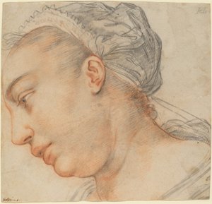 Hlava mladé ženy od Hendrik Goltzius