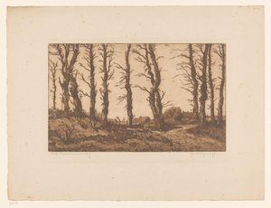 Oud Blaricummerweg (původní název na objektu) od Hendrik Weegewijs (signed by artist)