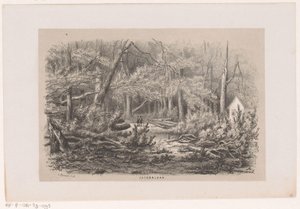 Stromy spadlé na Jacobalaanu po bouři z 28. května 1860 Jacobalaan (název na objektu) Album deseti litografických skic, zobrazujících Tooneelena zkázy, rozrušeného bouří z 28. května 1860 v Gravenhaagsche Bosch, od Hendrik Wilhelmus Last