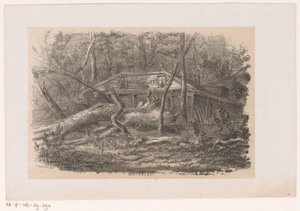 Strom spadl v Buitenlustu po bouři 28. května 1860 Buitenlust (název na objektu) Album deseti litografických skic, zobrazujících Tooneelena zkázy, rozrušeného bouří z 28. května 1860 v Gravenhaagsche Bosch, v S