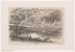Strom spadl, po bouři 28. května 1860 Rybník (název na objektu) Album deseti litografických skic, zobrazujících Tooneelena zkázy, rozrušeného bouří z 28. května 1860 v Gravenhaagsche Bosch, ve Scheveningenu atd. (