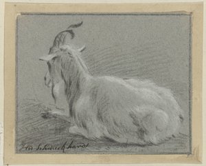ležící koza od Hendrik Willem Schweickhardt (signed by artist)