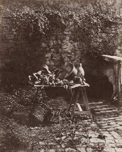 Zátiší: hrnec, džbán a zelenina na stole na pilovém koni, asi 1852 (foto)