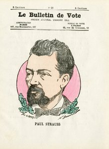 Hlasovací lístek 2. série, satirický v barvách: Strauss Paul - ilustrace Henri Demare (1846-1888) od Henri Demare