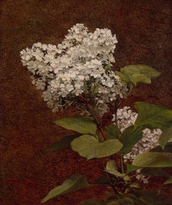 Bílé šeříky od Ignace Henri Jean Fantin Latour