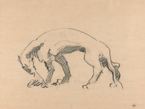 Lvice v profilu od Henri Gaudier Brzeska