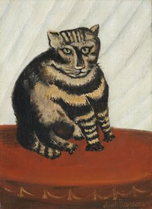 Tabby