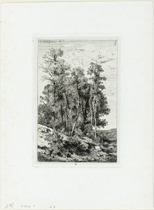 Břízy a duby od Henri-Joseph Harpignies