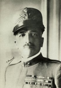 Portrét italského generála Armanda Diaze (foto) od Henri Manuel