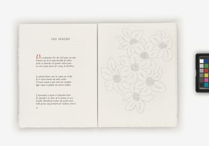 Poezie od Henri Matisse