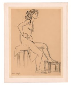 Sedící ženský akt, jedna noha na stoličce od Henri Matisse