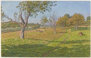 Pole v Auffay od Henri Rivière