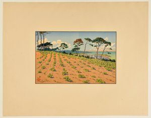 [Douarnenez z pohledu ze silnice „Route du Ris“] od Henri Rivière