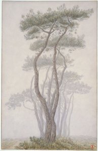  od Henri Rivière