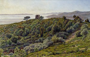 Stará věž a ostrovy Hyeres od Henri Rivière
