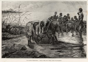 Hroší řeznictví na břehu středoafrické řeky. Rytina Henriho Thiriata k ilustraci příběhu „La mission Crampel““, od Alberta Nebouta (1862-1939), v roce 1890, v Le tour du Monde 1892, režie Edouard Charton (1807-1891), Hachette, Pa od Henri Thiriat