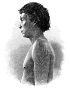 Indián Guatsu, Střední Amerika, c1890