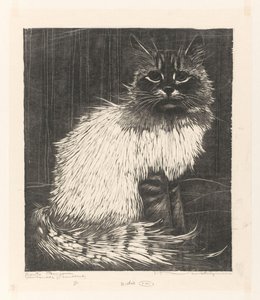 Bonte Angora (původní název na objektu)