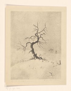 Lonely Tree (původní název na objektu)