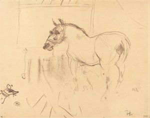 Malý poník z Calmese Malý poník z Calmese, 1899. od Henri de Toulouse Lautrec