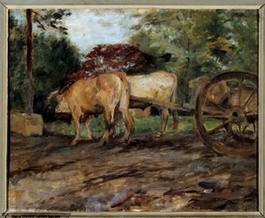 Die Ochsen unter dem Joch