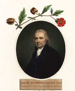 Portrét Daniela Rutherforda, botanika. 1805 (rytina) od Henry (after) Raeburn