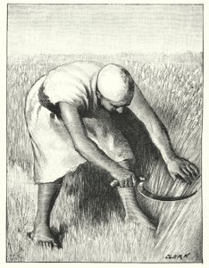 Sklizeň na východě (litho) od Henry Andrew Harper