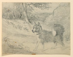 Studie losího honiče od Henry Bernard Chalon