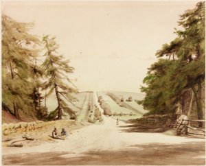 Tower - Taye (barva těla) od Henry Burdon Richardson
