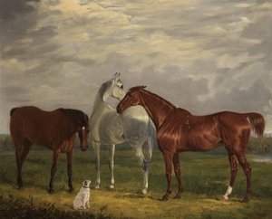 Tři koně druhého lorda de Tabley a jeho pes, Vic, 1838