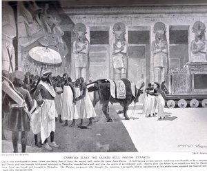 Cambyses zabíjí posvátného býka, ilustrace z „Hutchinsonovy historie národů“, kolem roku 1910 od Henry Charles Seppings Wright