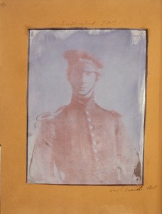 Pane Rutherforde