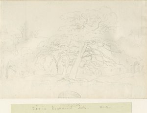 Beaudesert Park: kresba tužkou, nd [1788-1855]