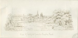 Lichfield - Severní pohled (vzdálený): kresba perem, nd [1788-1855] (kresba) od Henry Curzon Allport