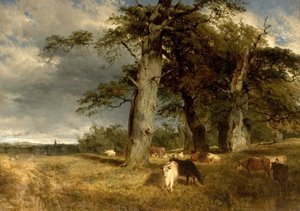 Krajina v Dukeries, Nottinghamshire, 1850