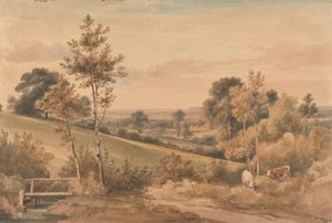 Malý Bushey, Hertfordshire od Henry Edridge