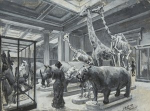 Vnitřní pohled na Britské muzeum s galerií s exponáty zvířat, kolem roku 1880 od Henry Edward Tidmarsh