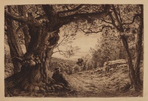 Na Hillside od Henry Farrer