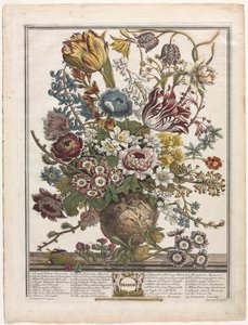 Dvanáct měsíců květů: březen 1730.
