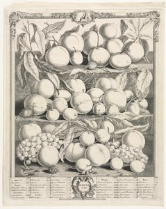 Dvanáct měsíců ovoce: srpen 1732. od Henry Fletcher