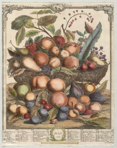 Dvanáct měsíců ovoce: červenec 1732.