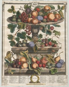 Dvanáct měsíců ovoce: červen 1732.