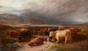 Highland Cattle in a Mountain Glen (olej na plátně) od Henry Garland