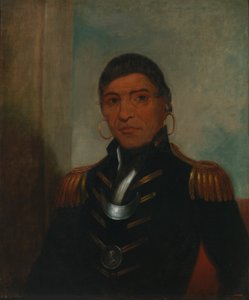 Velký bizon (Chippewa) od Henry Inman