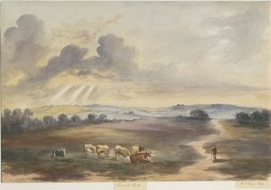 Cannock Chase - "Heath": malba vodovými barvami, 1844