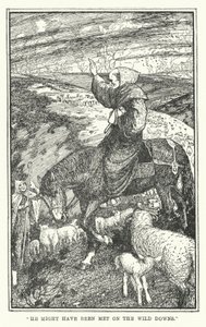 „Možná ho potkali na divokých pádech“ (litho) od Henry Justice Ford