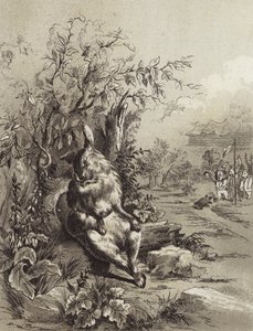 Ezopovy bajky: Zajíc a želva (litho)