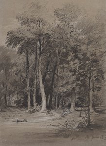 Zalesněná dráha od Henry Monro