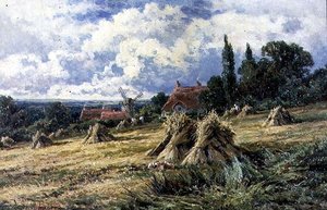 Kukuřičné pole v Surrey