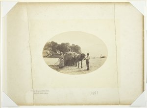 Na svazích Cader-Idris, Poslední náklad sena od Henry Peach Robinson